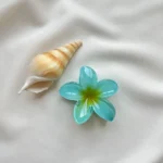 کلیپس پلومریا - Image 3